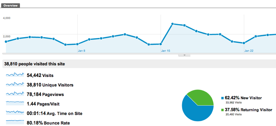 A Google Analytics Chart that shows user metrics.